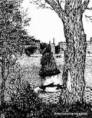 /album/fotogaleria-inicio/rostro-jpg/